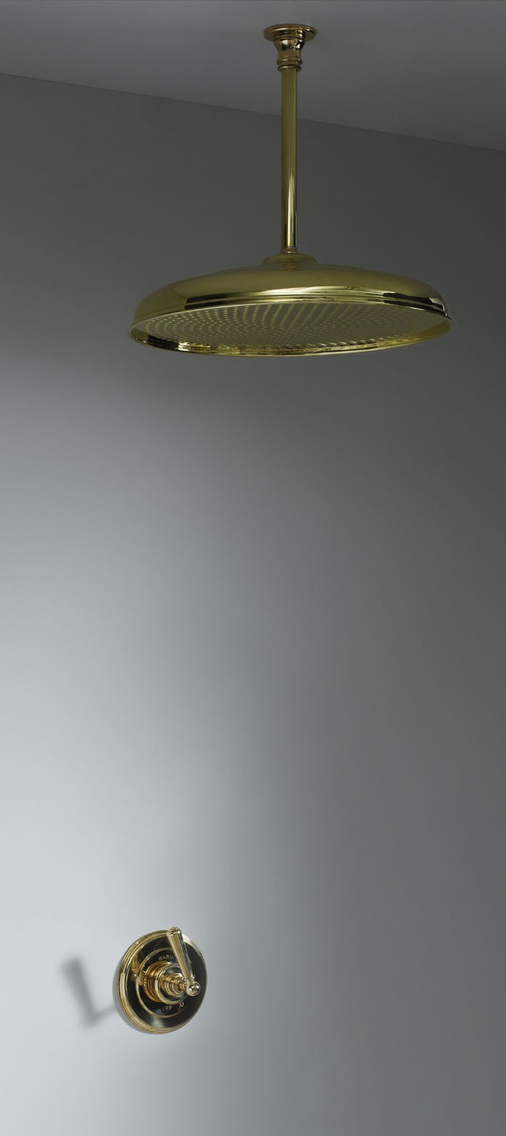 Soho concealed shower